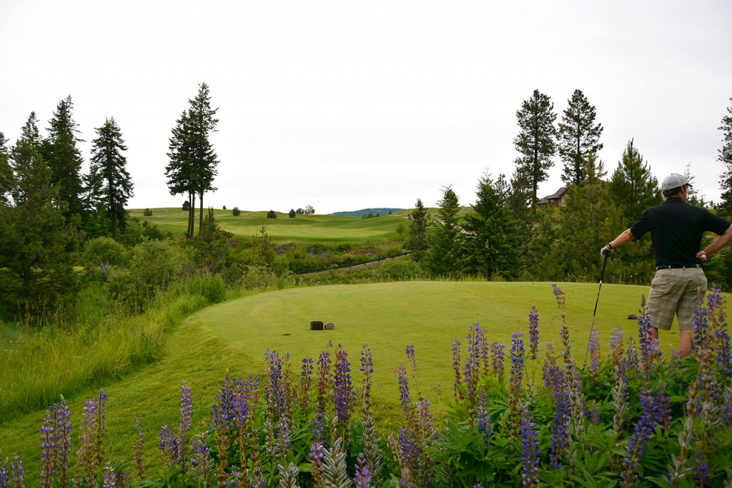 Black Rock Hole 15