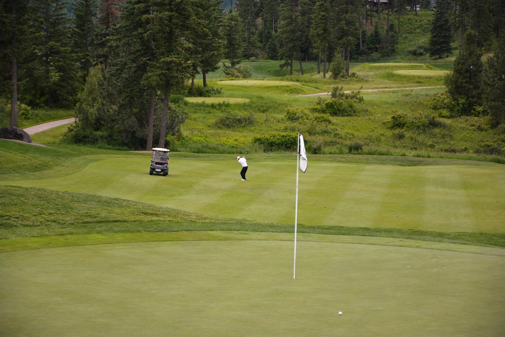 Black Rock Green 17
