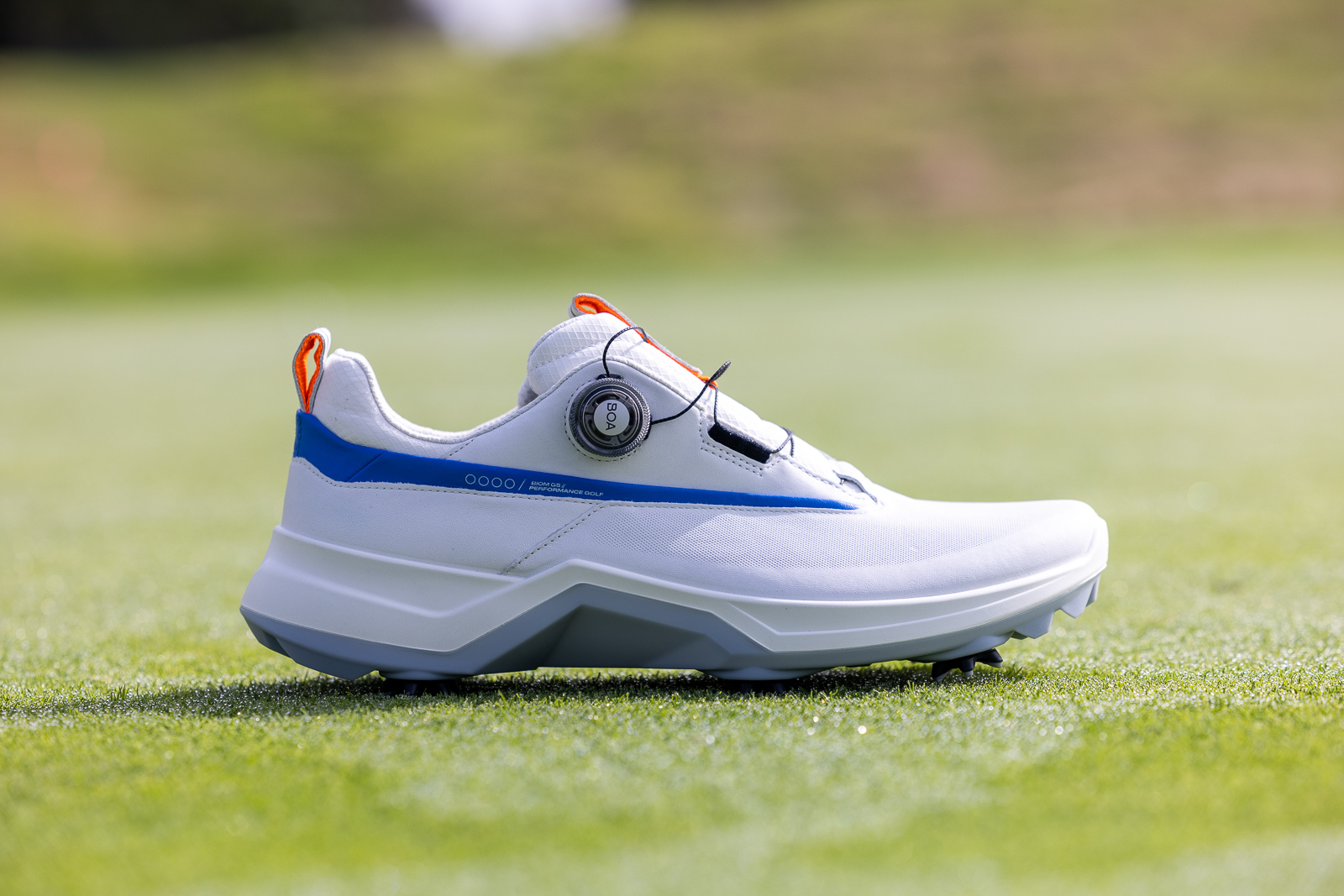 The new Ecco Biom G5