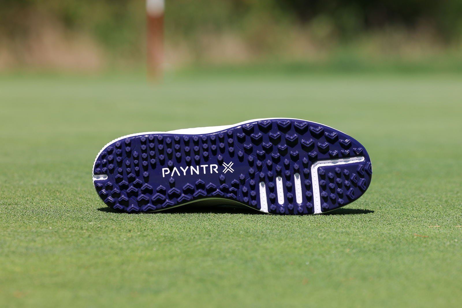 Payntr Golf X 003 Golf Shoes - Use Code BREAKINGEIGHTY to save 10%